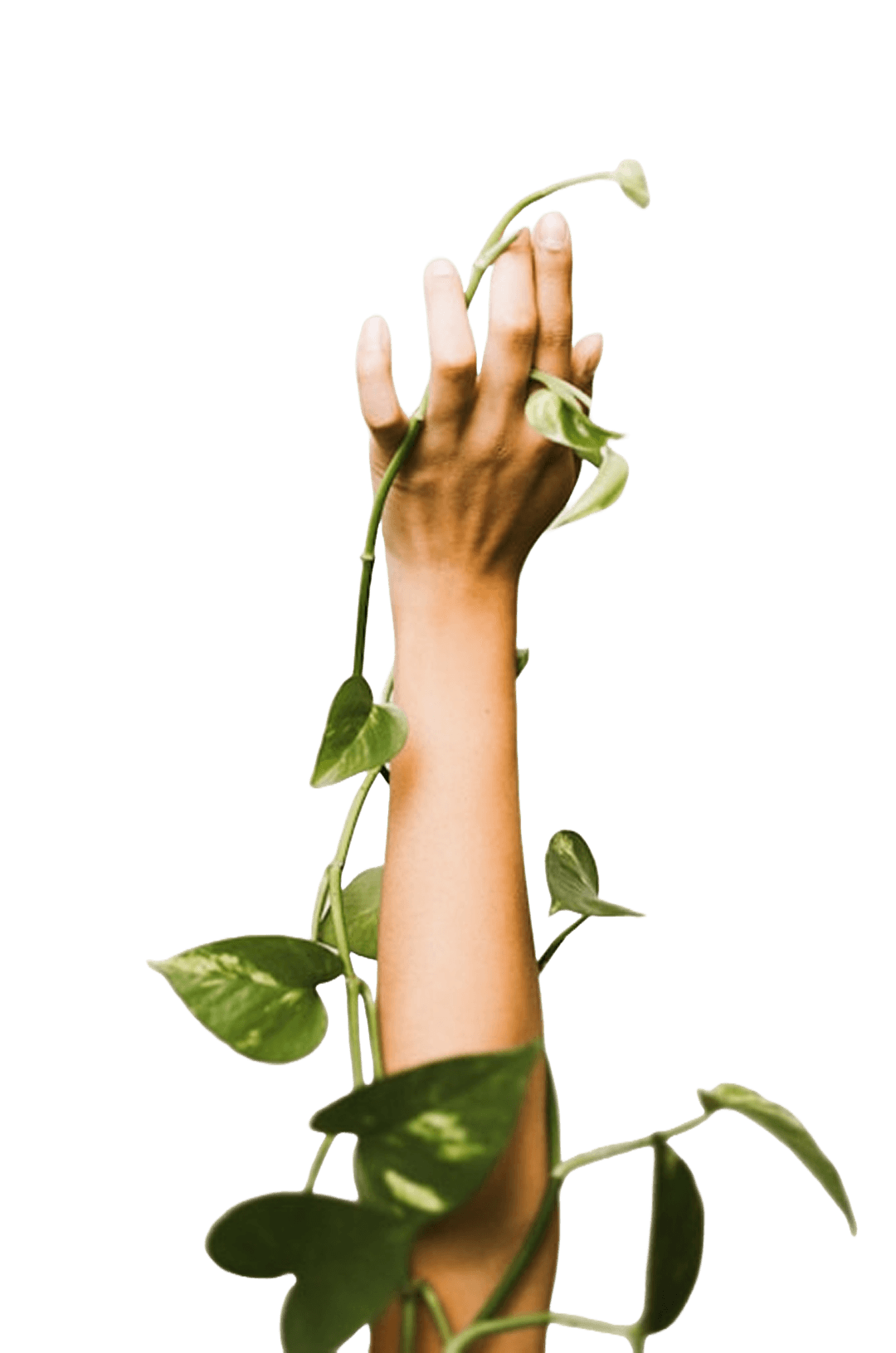 Promoting sustainable practices and environmental conservation